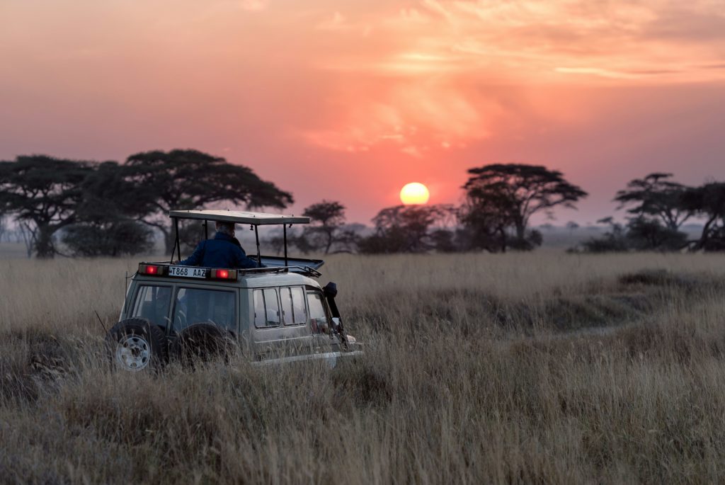 Safari accessible luxury travel