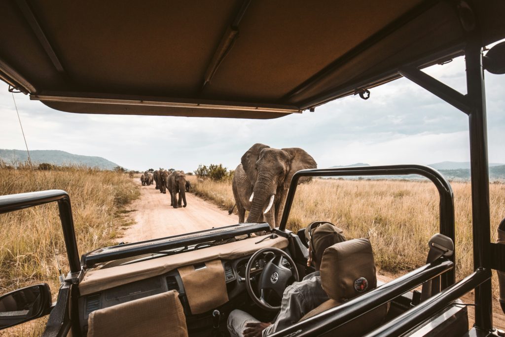 Accessible safari luxury travel