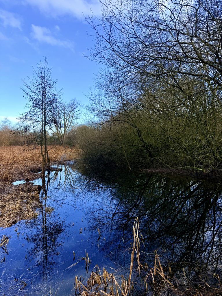 RSPB Old Moor Accessibility | The inclusive Edit